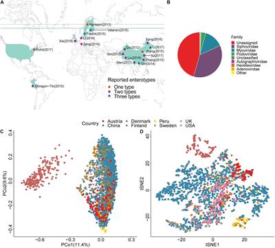 Characterizing Enterotypes in Human Metagenomics: A Viral Perspective